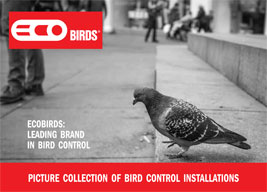 Brochure Gallery forografica Ecobirds®